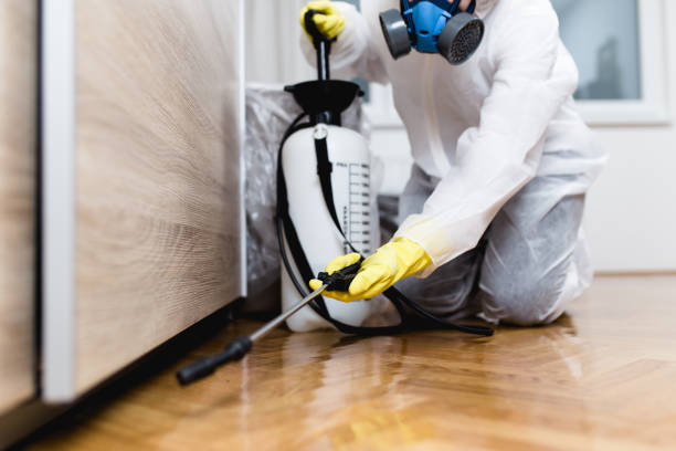 Best Local Pest Control Services  in The Villages, FL